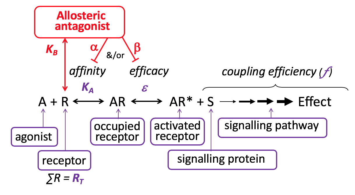 Affinity Chart