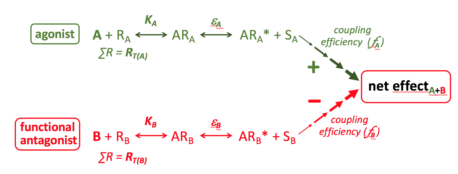 Functional Chart